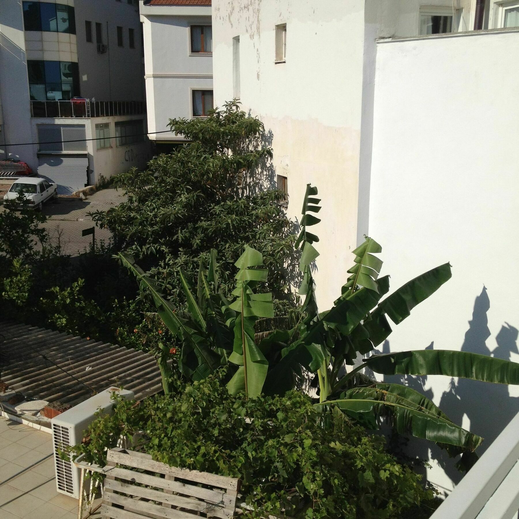 Ata Apart Datça Exteriér fotografie